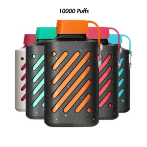 Vozol Gear 10000 Puff